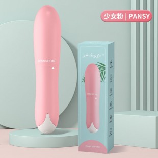 Vibrador de Ponto G a Pilha